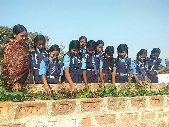 organic gardening