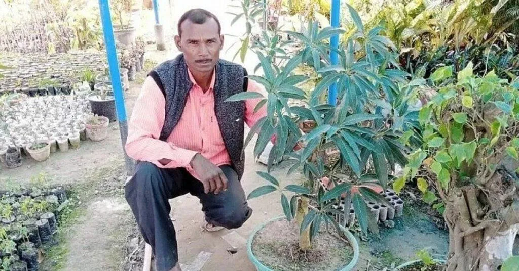 How to do gardening