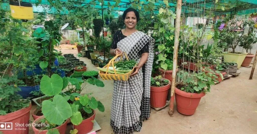 Terrace Gardening