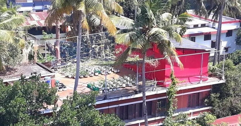 Terrace Gardening