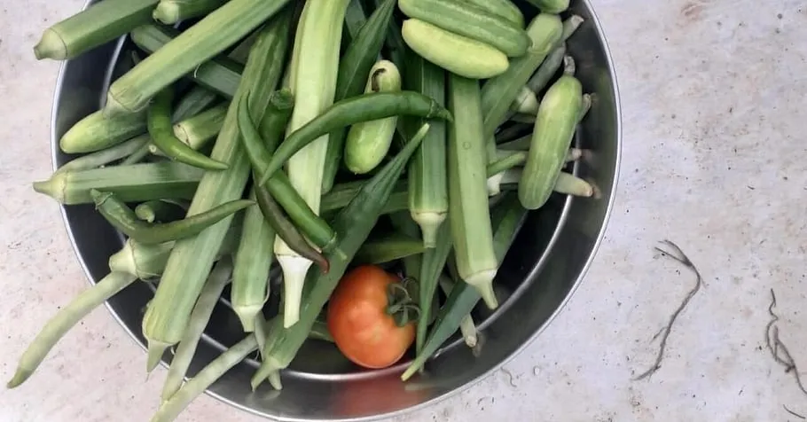 Home grown Vegetables