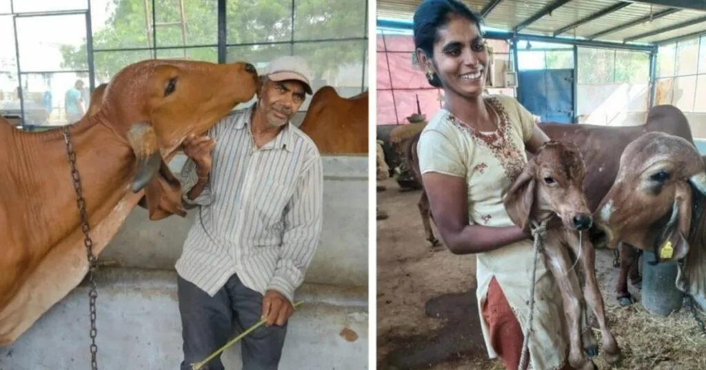 Gaushala