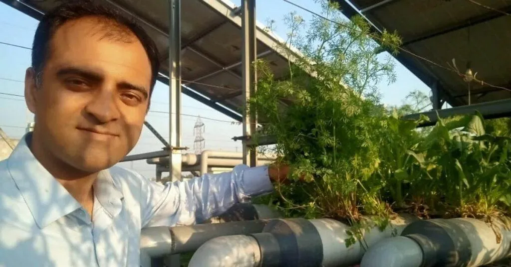 Hydroponic gardening