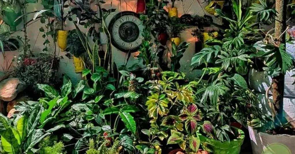 Gardening Tips