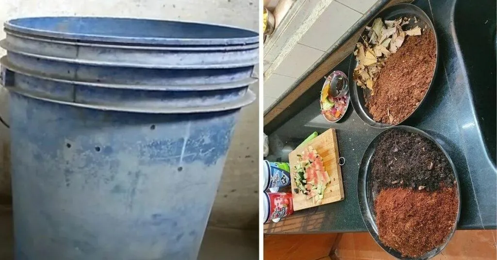 Compost fertilizer