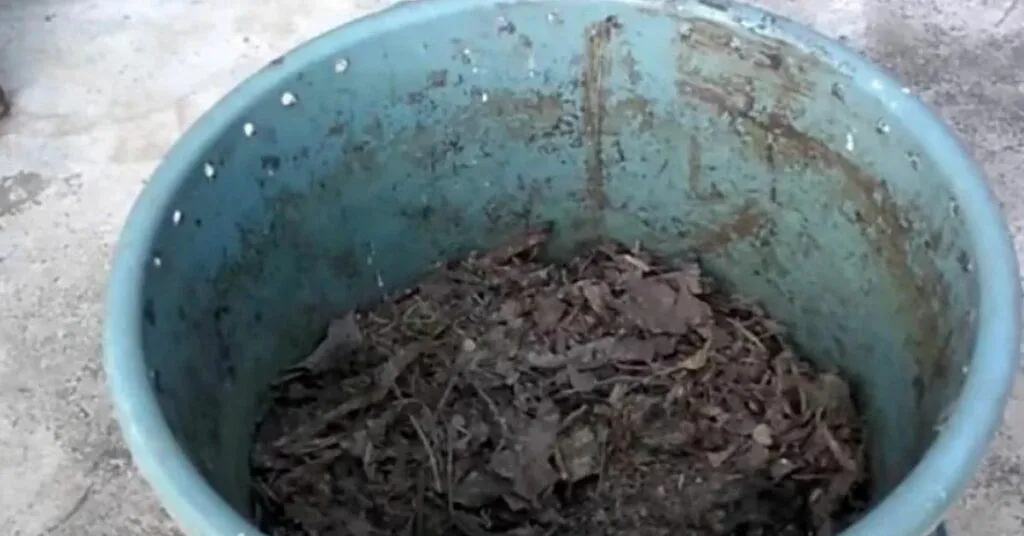 gardening