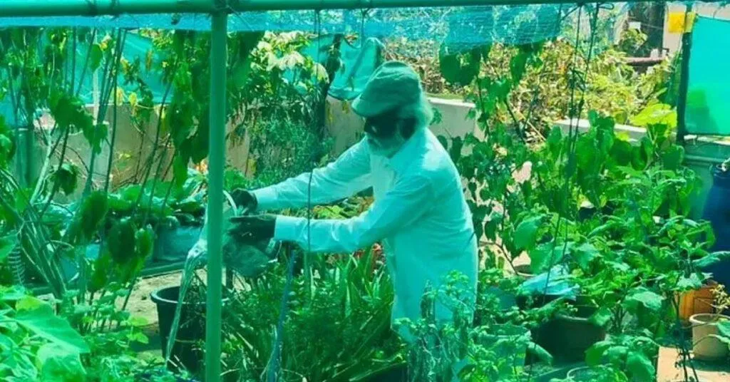 Gardening Tips