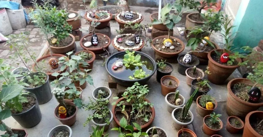 Gardening Tips