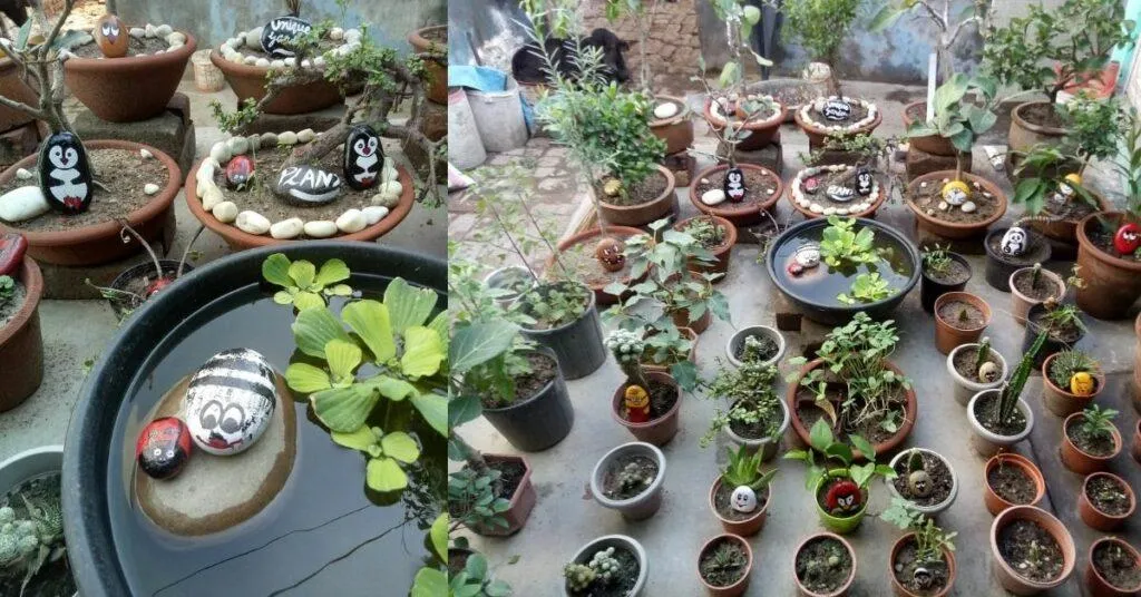 How to start gardening