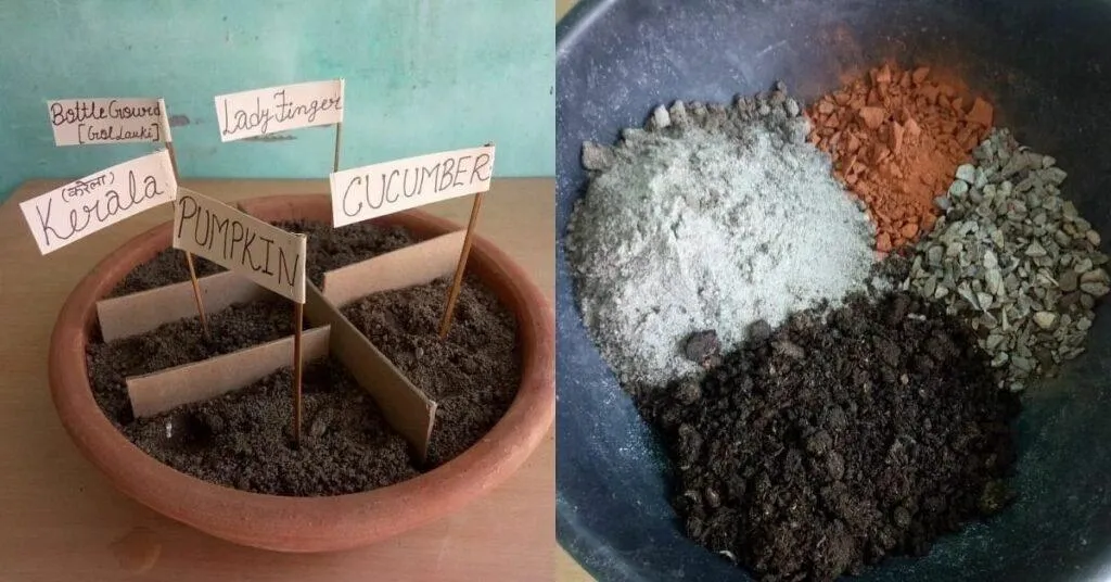 Organic Gardening