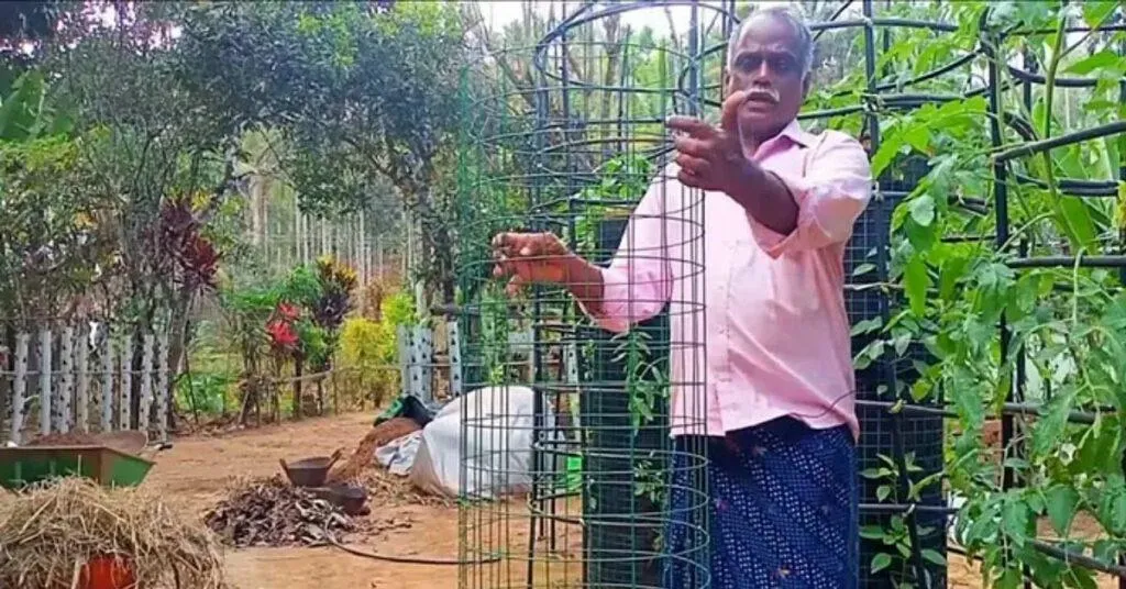 Organic Farming