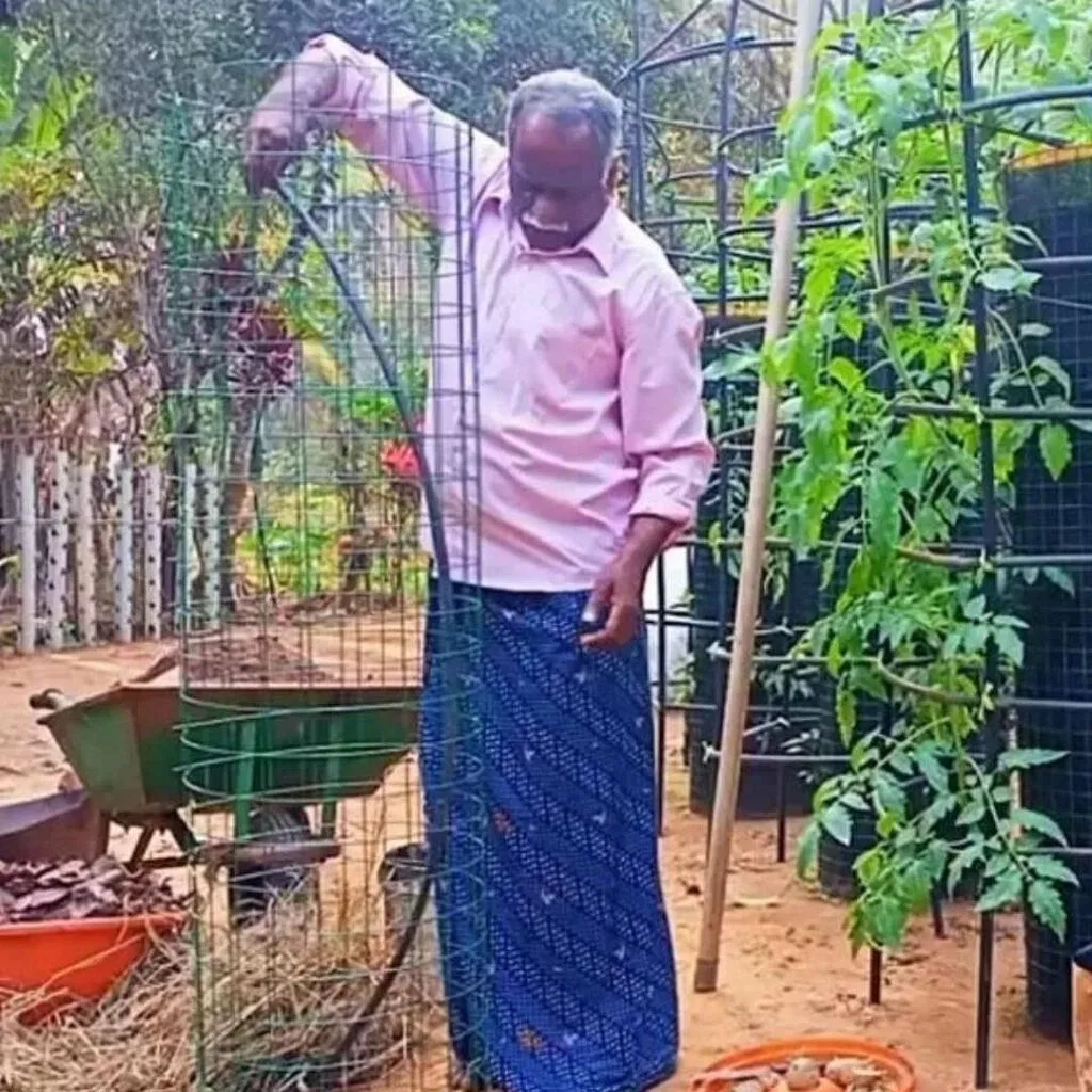 Home grown vegetables