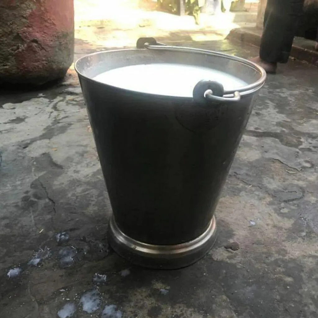 Save Milk