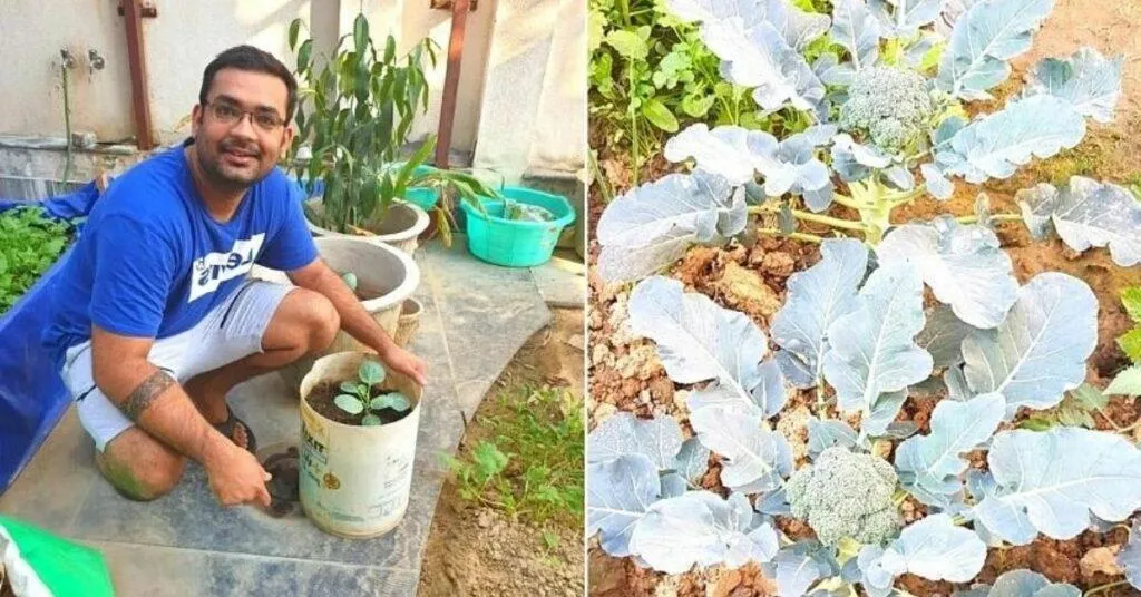Gardening tips