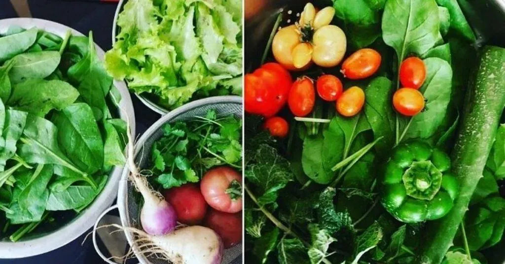 Organic gardening