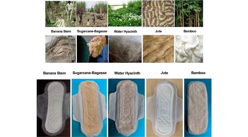 Biogradible Sanitary Pads