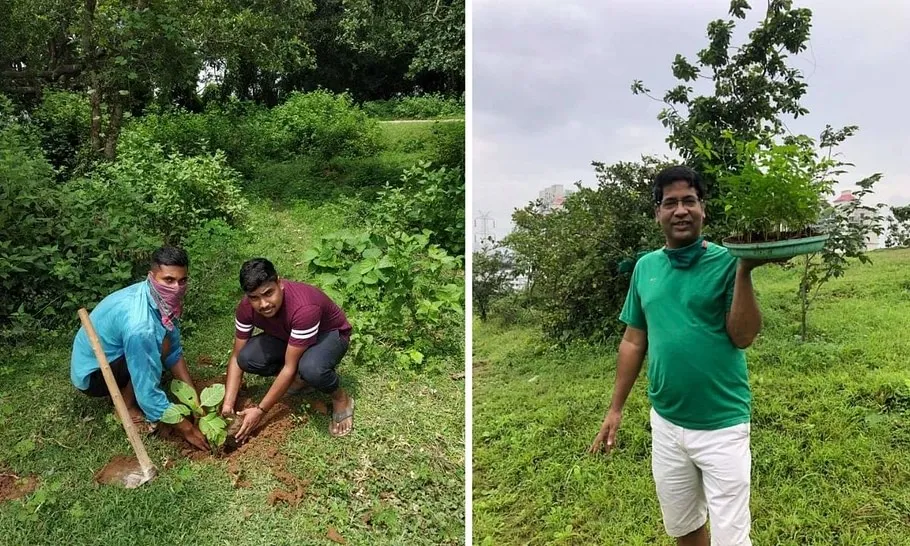 Tree Plantation Before Monsoon