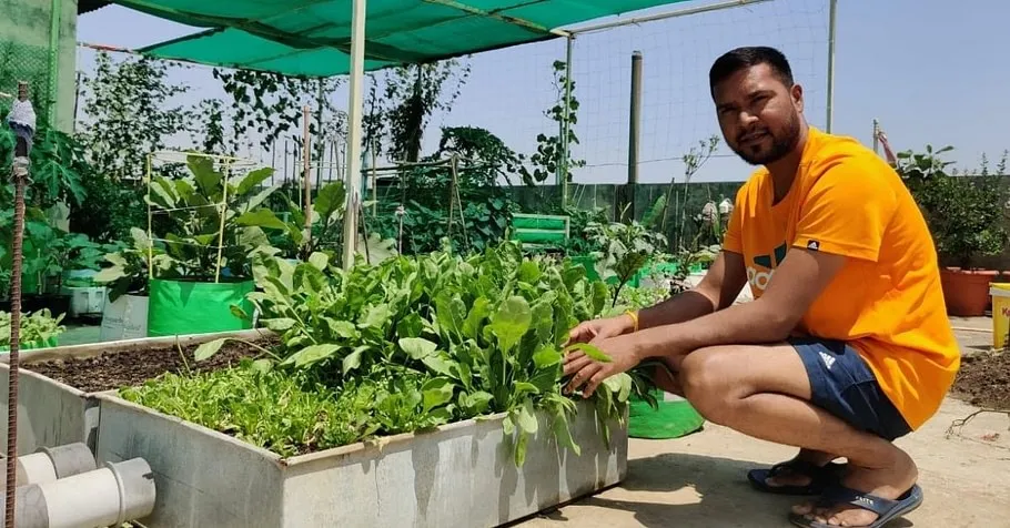 Gardening Expert