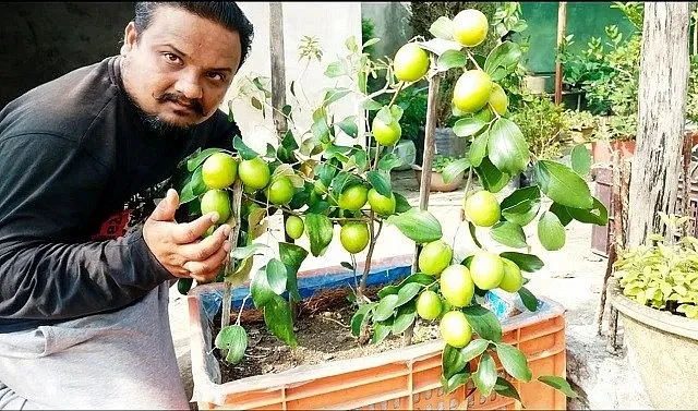 Shirish Sharma