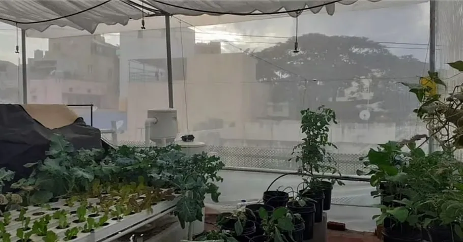 Gardening