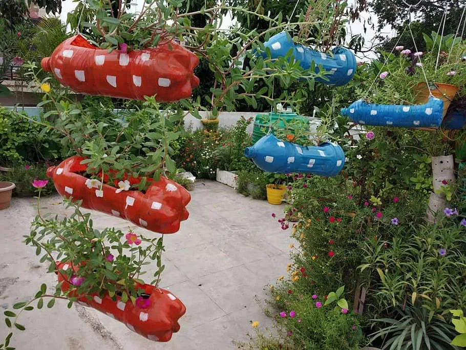 Gardening tips