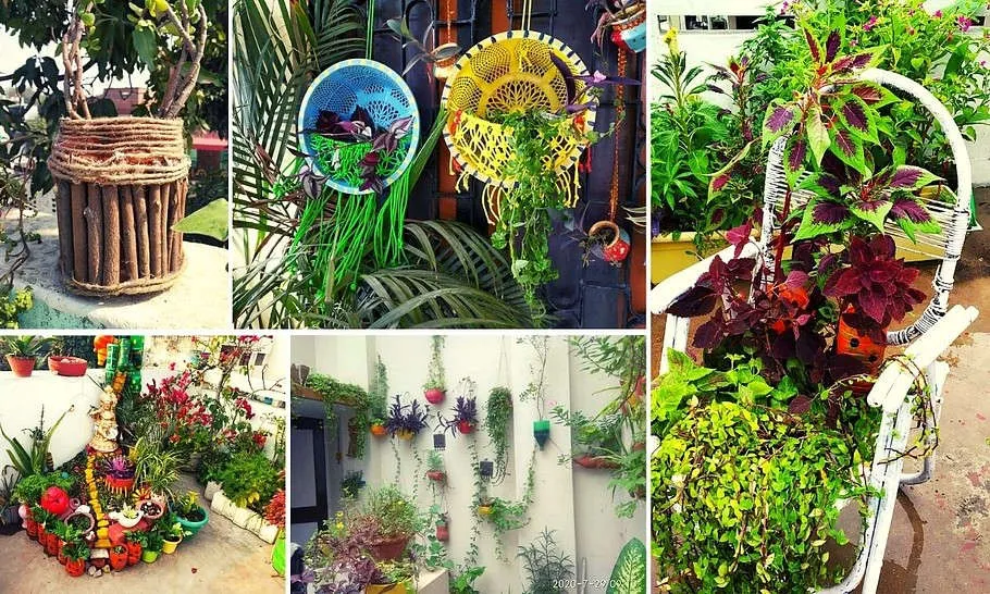 Gardening Expert