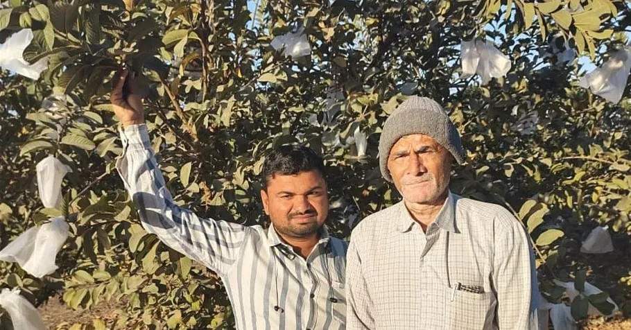 Morbi Farmer