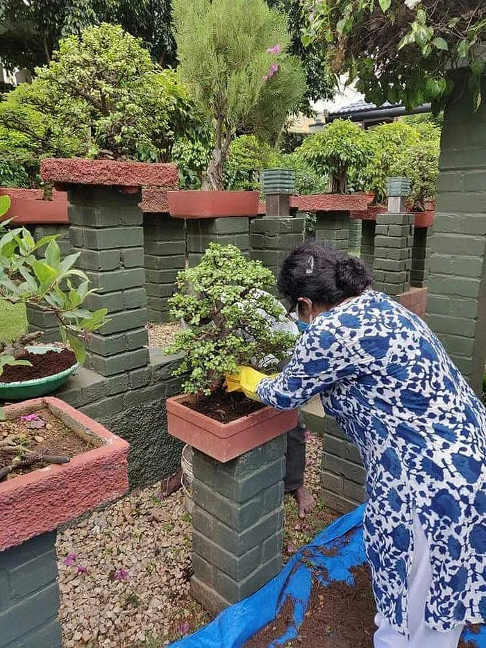 Rain water harvesting