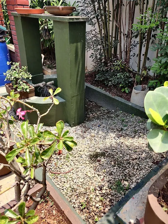 rain water harvesting