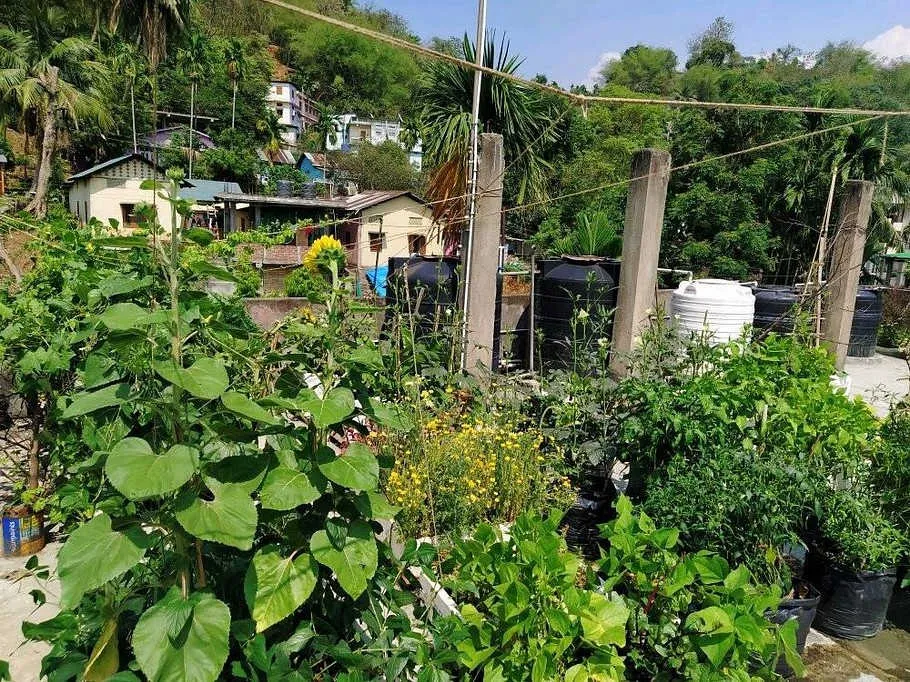 Urban Gardner