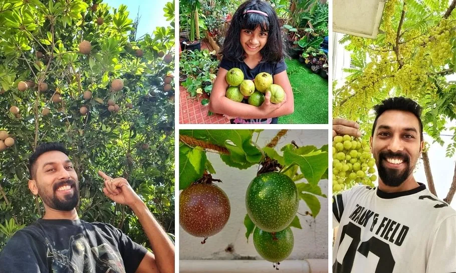 Organic Gardening