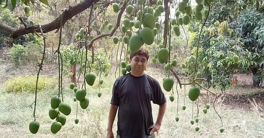 Rajeshbhai