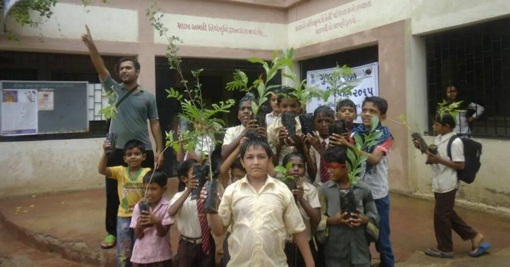 Tree plantation
