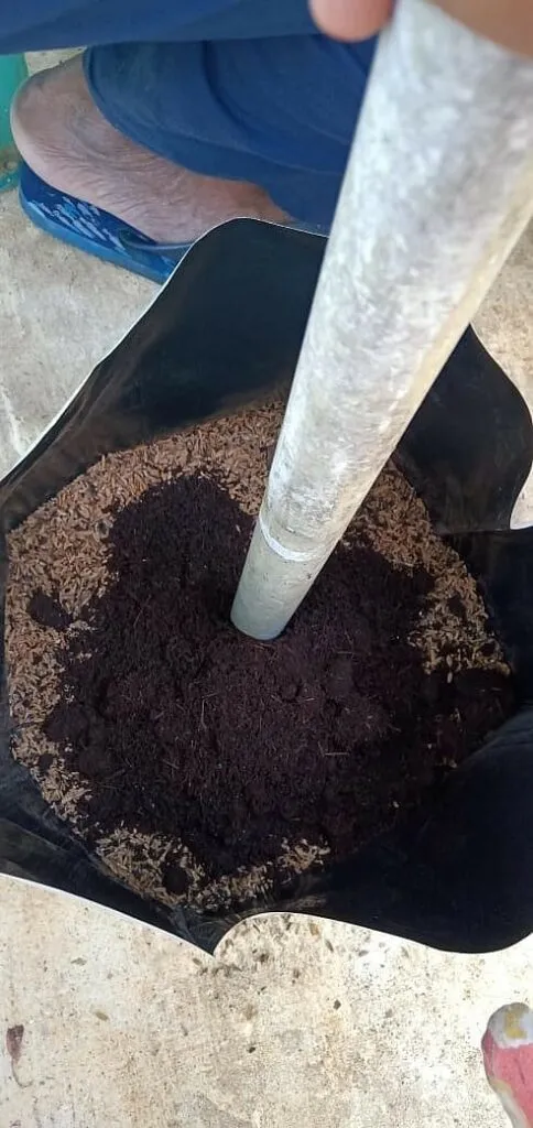 Potting mix