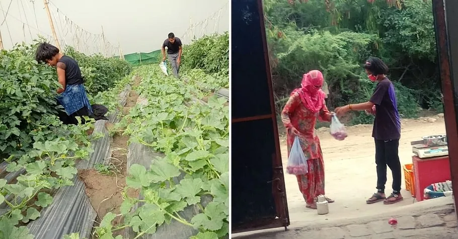 Modern farming