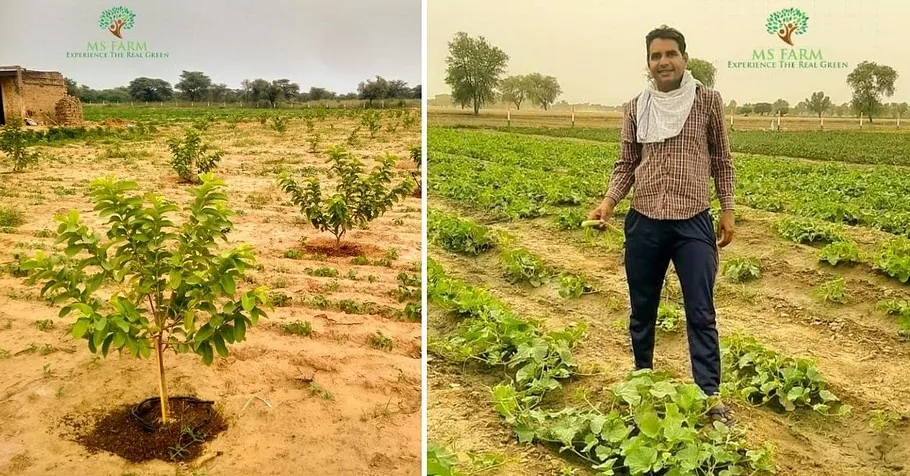 Organic Farming