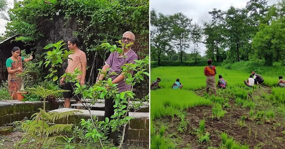 Organic farming