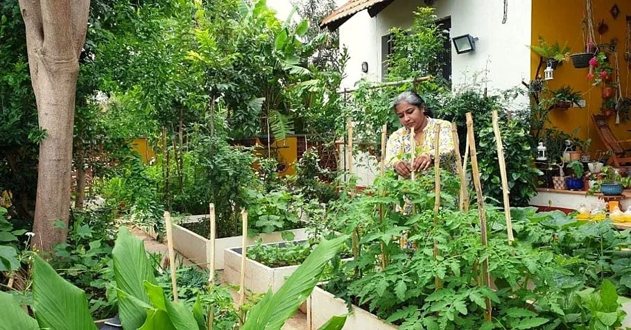 Home Gardening
