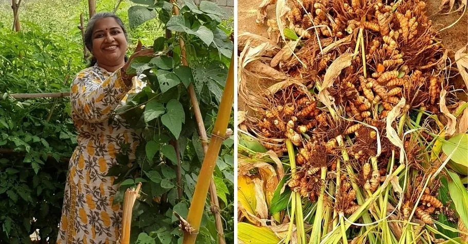 Organic Vegetables