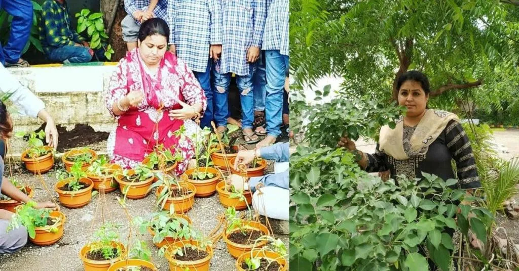 Tree Plantation