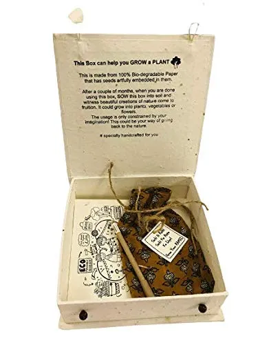 Plantable seed Rakhi