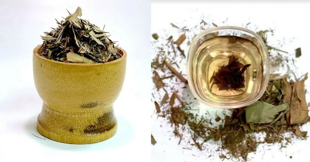 Bamboo tea