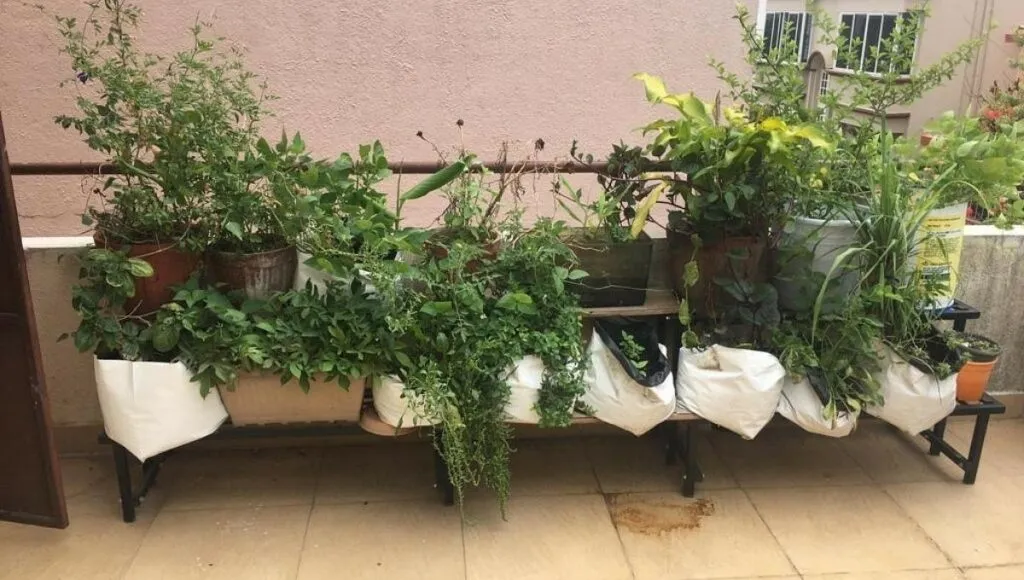 self sustaining home