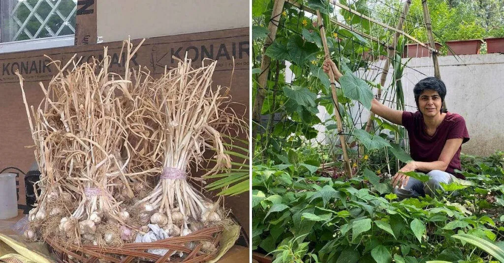 Kitchen Gardening