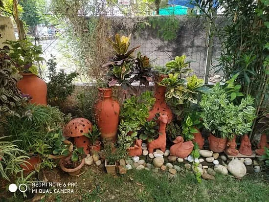 organic farming on terrace 