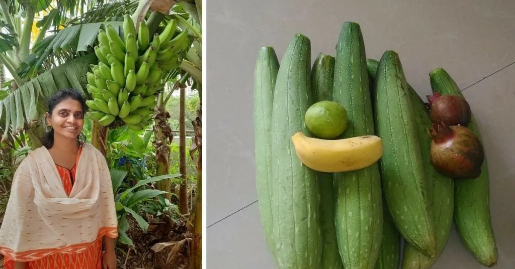 Home grown vegetables