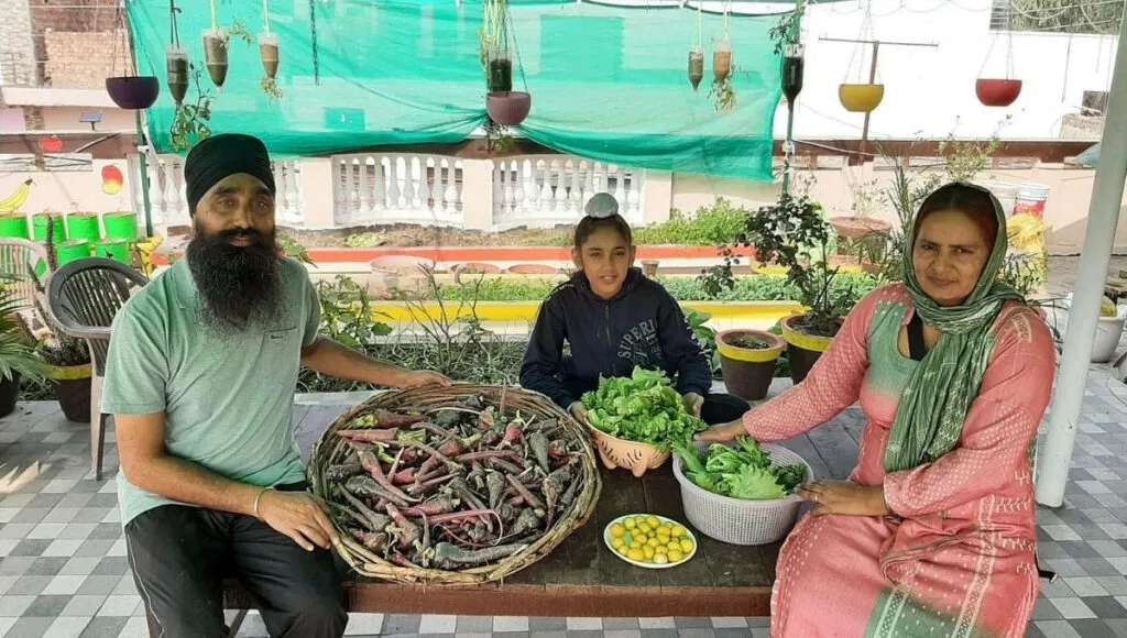 terrace garden fresh veggies