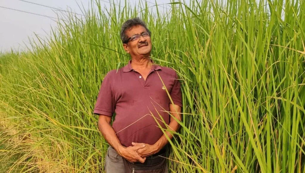 How to do organic Farming