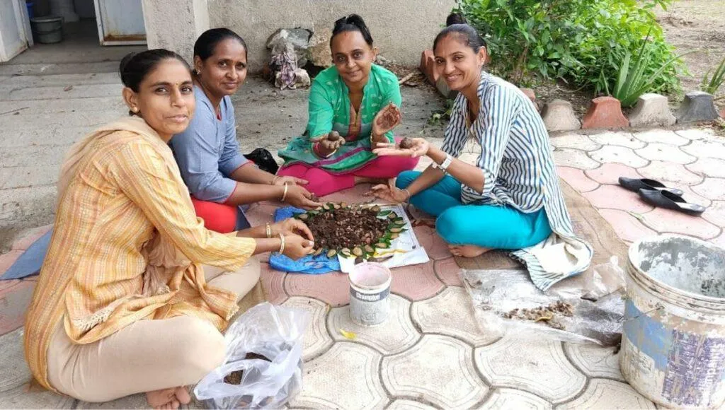 How to Make Seed ball
