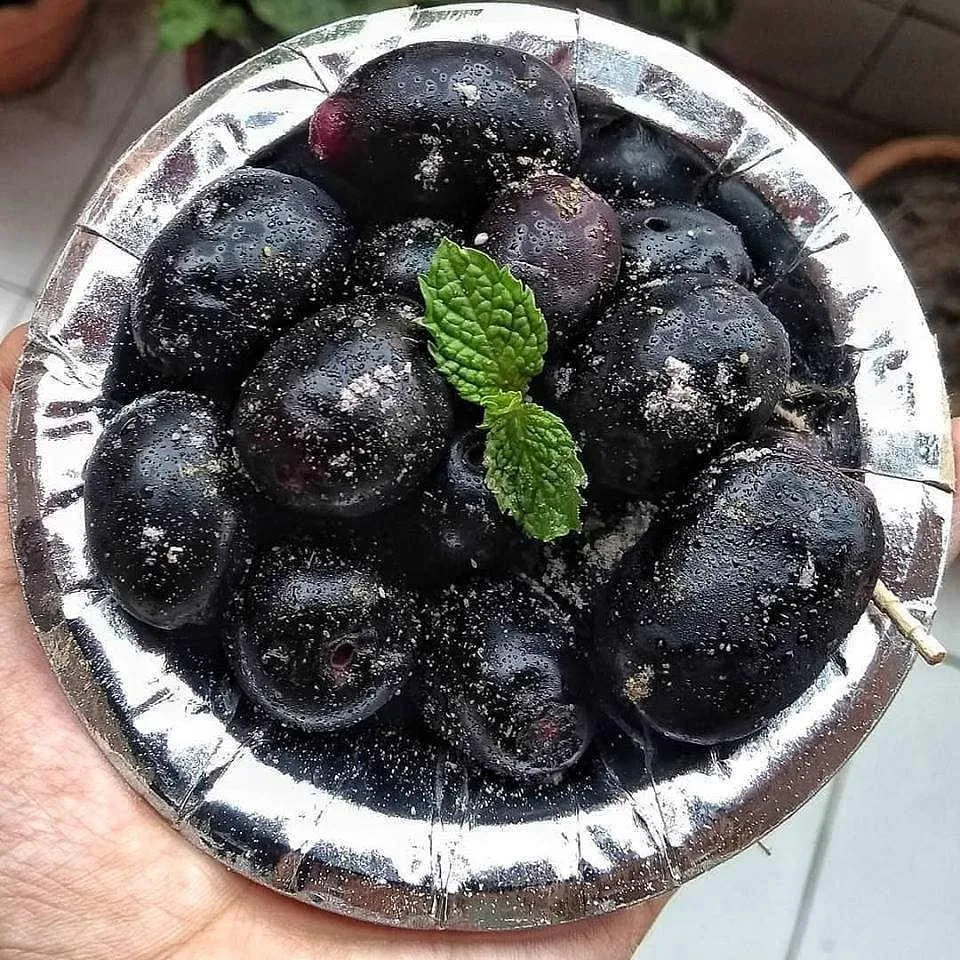 Blue Berry